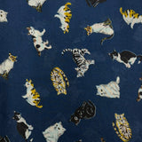 navy