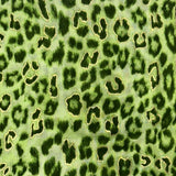 Leopard printed scarf with golden lines in green