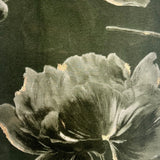 Rose Floral print scarf