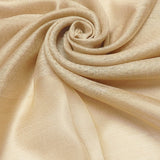 Shimmer Organza Plain Scarf